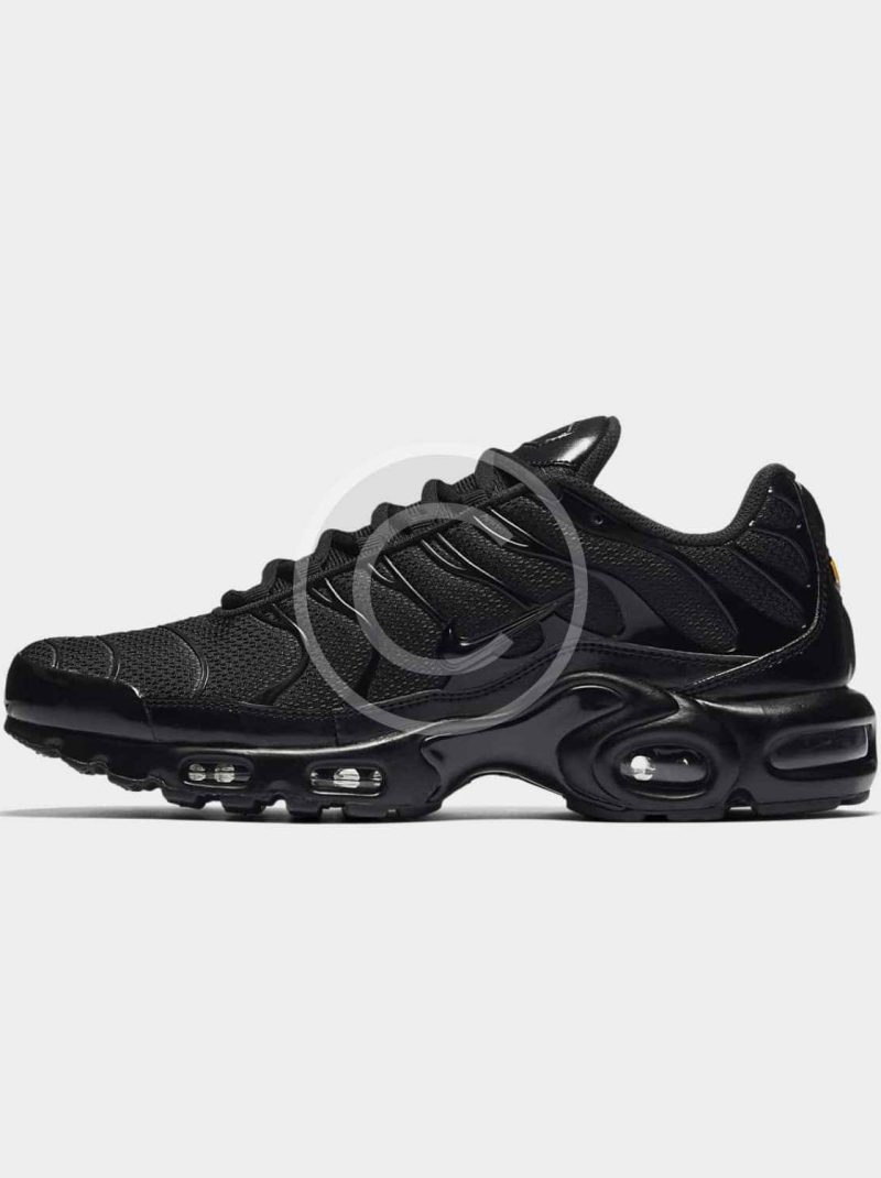 Air Max Plus